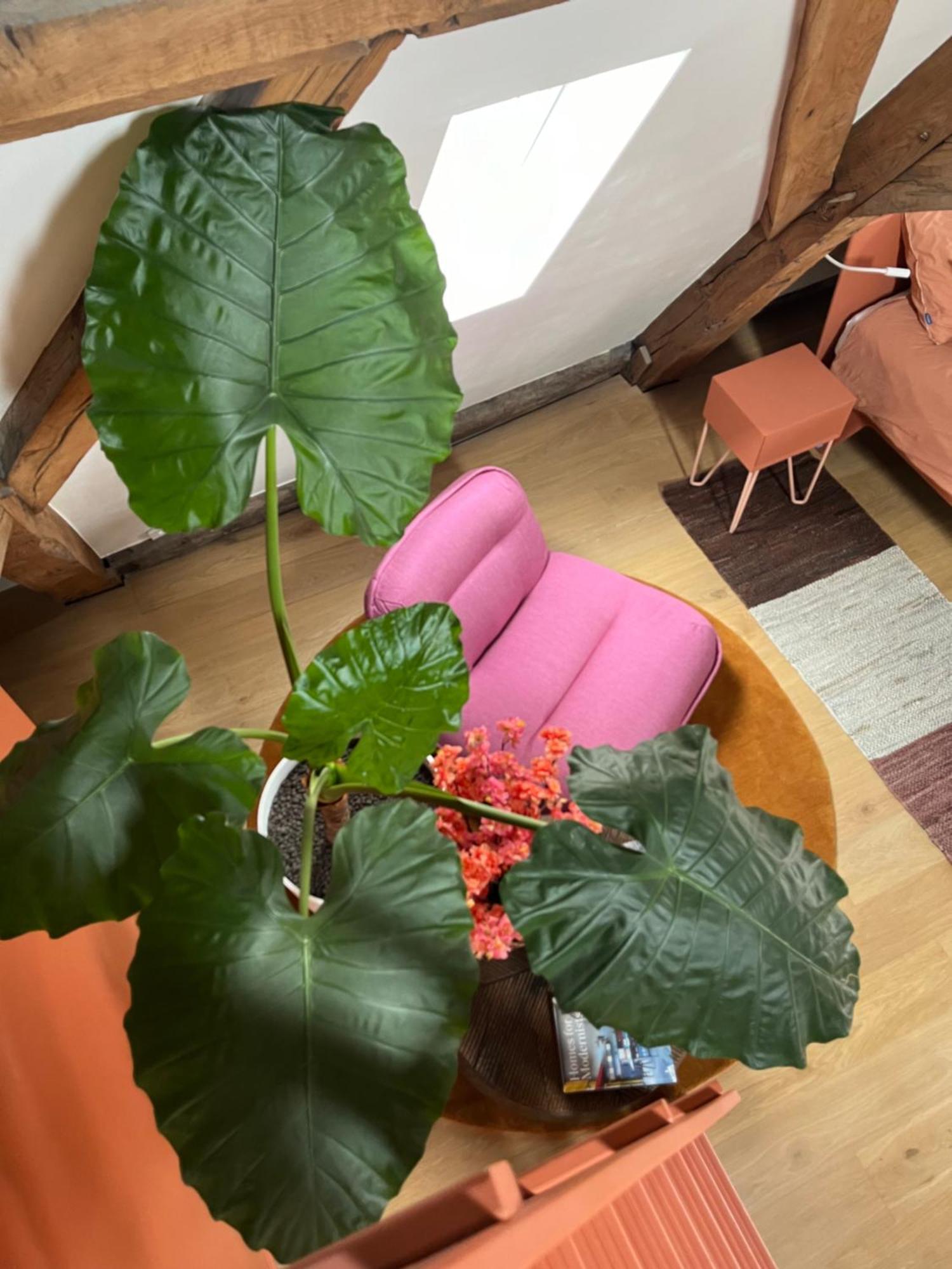 Maison Brunon Bed & Breakfast